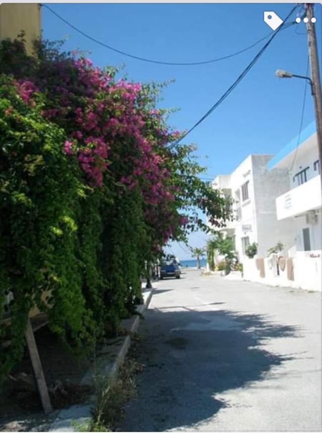 Sea Breeze 2 Apartments Mastichari  Bagian luar foto