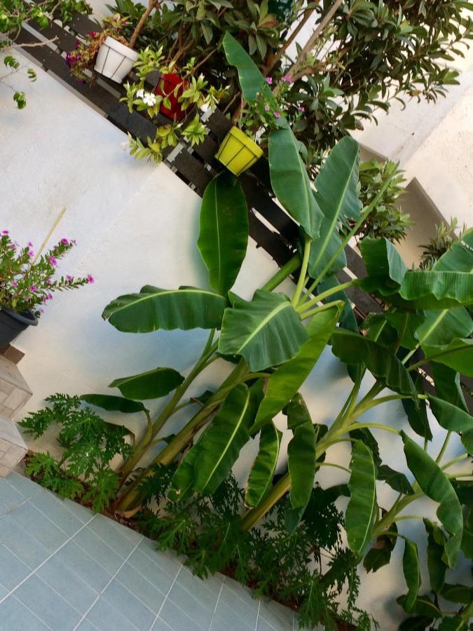 Sea Breeze 2 Apartments Mastichari  Bagian luar foto